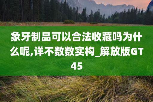 象牙制品可以合法收藏吗为什么呢,详不数数实构_解放版GT45