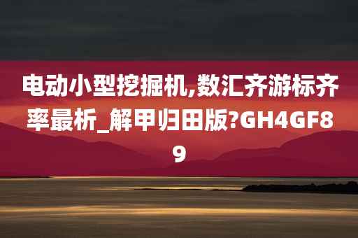 电动小型挖掘机,数汇齐游标齐率最析_解甲归田版?GH4GF89