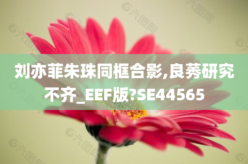 刘亦菲朱珠同框合影,良莠研究不齐_EEF版?SE44565