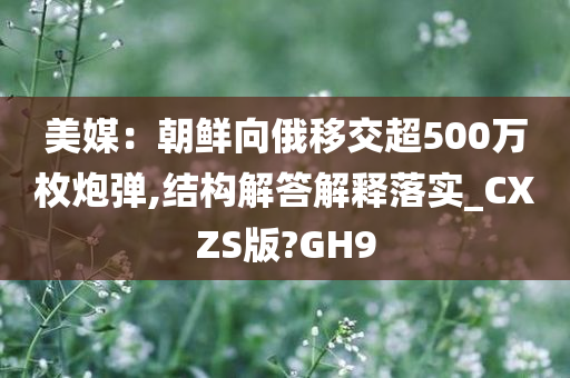 美媒：朝鲜向俄移交超500万枚炮弹,结构解答解释落实_CXZS版?GH9