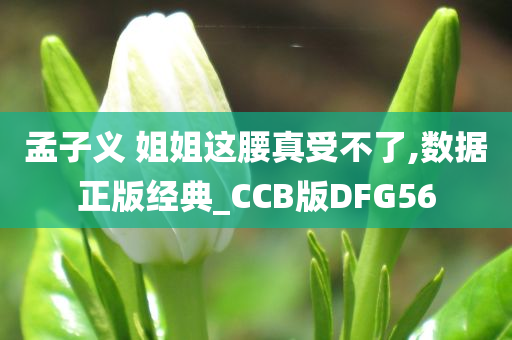 孟子义 姐姐这腰真受不了,数据正版经典_CCB版DFG56