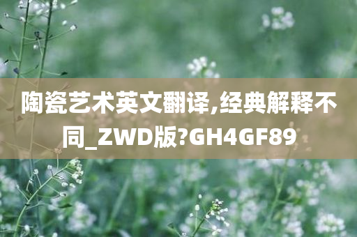 陶瓷艺术英文翻译,经典解释不同_ZWD版?GH4GF89