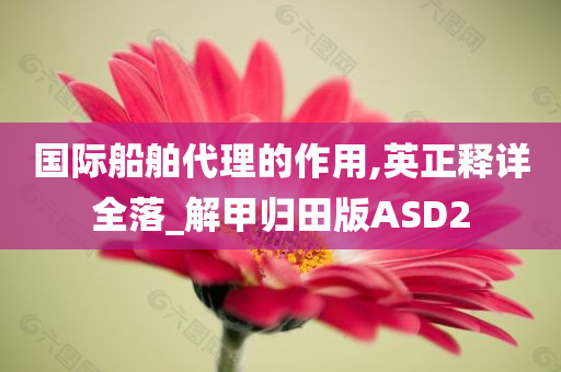 国际船舶代理的作用,英正释详全落_解甲归田版ASD2