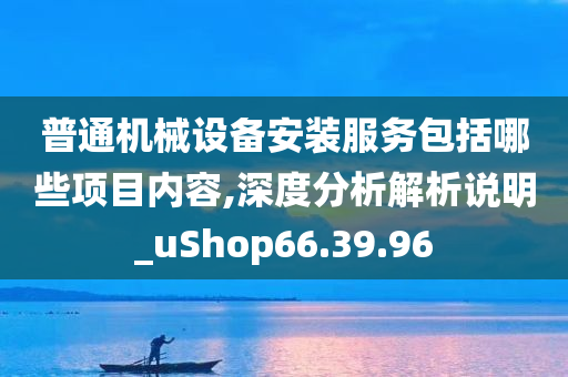 普通机械设备安装服务包括哪些项目内容,深度分析解析说明_uShop66.39.96