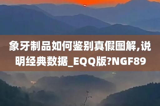 象牙制品如何鉴别真假图解,说明经典数据_EQQ版?NGF89