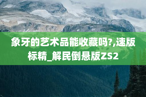 象牙的艺术品能收藏吗?,速版标精_解民倒悬版ZS2