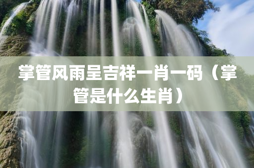 掌管风雨呈吉祥一肖一码（掌管是什么生肖）