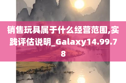 销售玩具属于什么经营范围,实践评估说明_Galaxy14.99.78