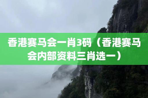 香港赛马会一肖3码（香港赛马会内部资料三肖选一）