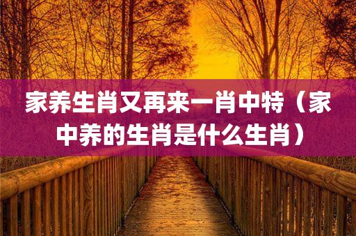 家养生肖又再来一肖中特（家中养的生肖是什么生肖）