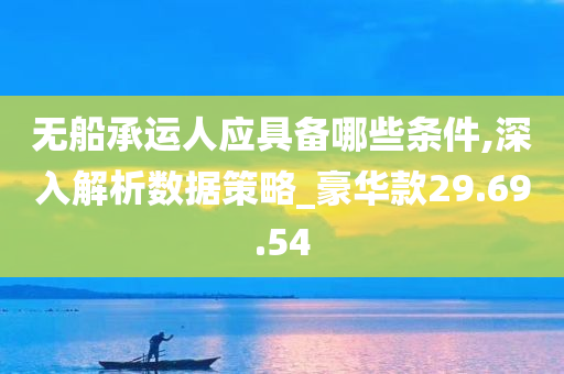 无船承运人应具备哪些条件,深入解析数据策略_豪华款29.69.54