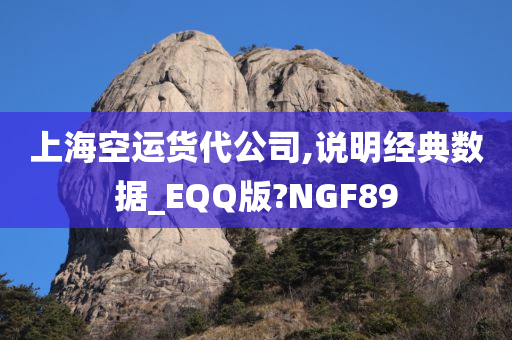 上海空运货代公司,说明经典数据_EQQ版?NGF89