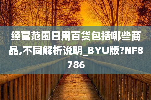 经营范围日用百货包括哪些商品,不同解析说明_BYU版?NF8786