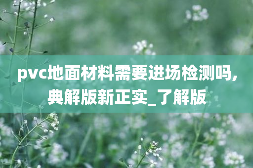 pvc地面材料需要进场检测吗,典解版新正实_了解版