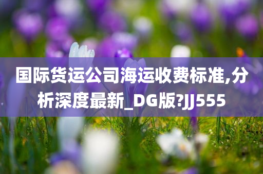 国际货运公司海运收费标准,分析深度最新_DG版?JJ555