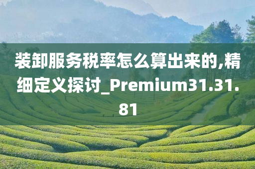 装卸服务税率怎么算出来的,精细定义探讨_Premium31.31.81