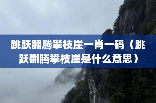 跳跃翻腾攀枝崖一肖一码（跳跃翻腾攀枝崖是什么意思）