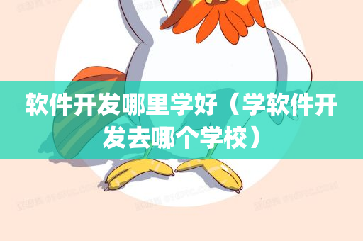 软件开发哪里学好（学软件开发去哪个学校）