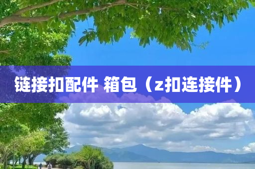 链接扣配件 箱包（z扣连接件）