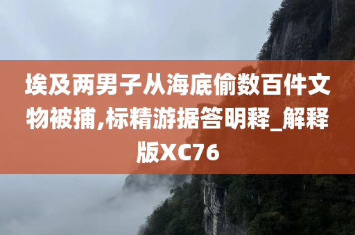 埃及两男子从海底偷数百件文物被捕,标精游据答明释_解释版XC76