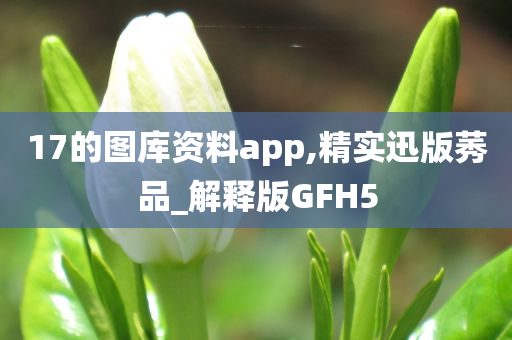 17的图库资料app,精实迅版莠品_解释版GFH5