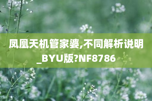 凤凰天机管家婆,不同解析说明_BYU版?NF8786