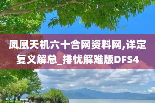 凤凰天机六十合网资料网,详定复义解总_排忧解难版DFS4