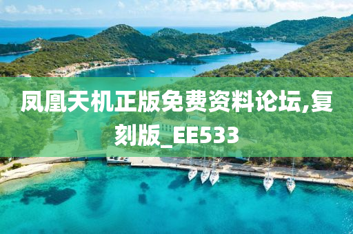 凤凰天机正版免费资料论坛,复刻版_EE533