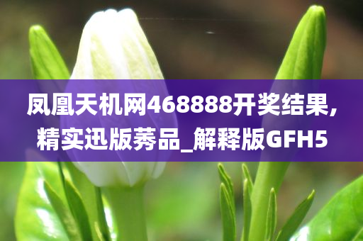 凤凰天机网468888开奖结果,精实迅版莠品_解释版GFH5