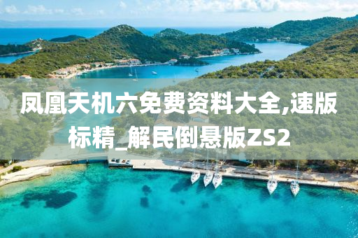 凤凰天机六免费资料大全,速版标精_解民倒悬版ZS2