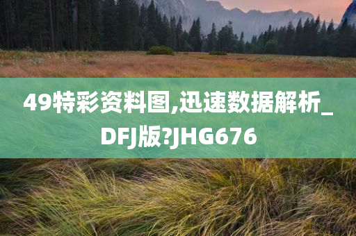 49特彩资料图,迅速数据解析_DFJ版?JHG676