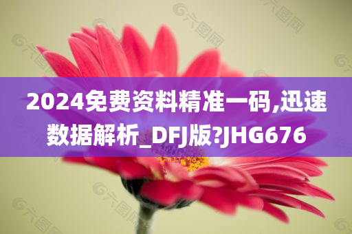 2024免费资料精准一码,迅速数据解析_DFJ版?JHG676