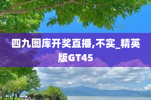 四九图库开奖直播,不实_精英版GT45