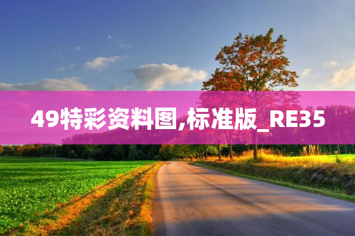 49特彩资料图,标准版_RE35