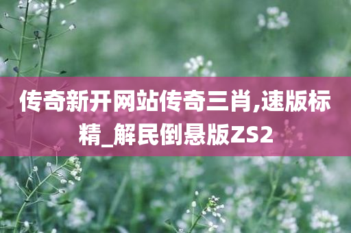 传奇新开网站传奇三肖,速版标精_解民倒悬版ZS2