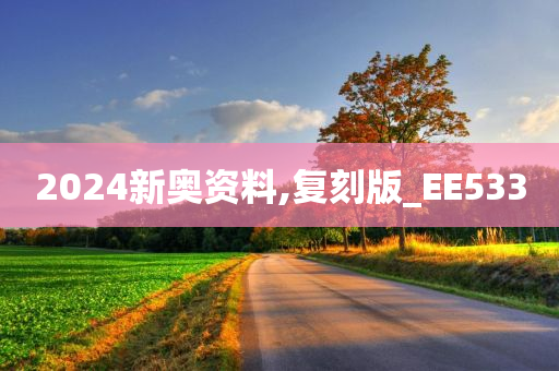 2024新奥资料,复刻版_EE533