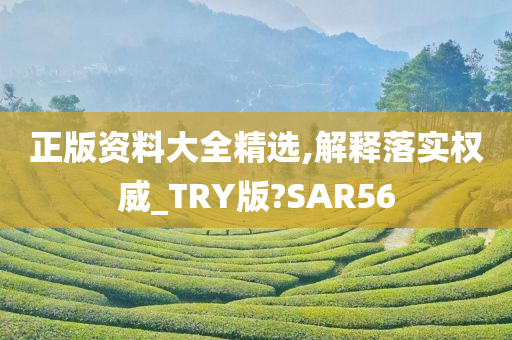 正版资料大全精选,解释落实权威_TRY版?SAR56