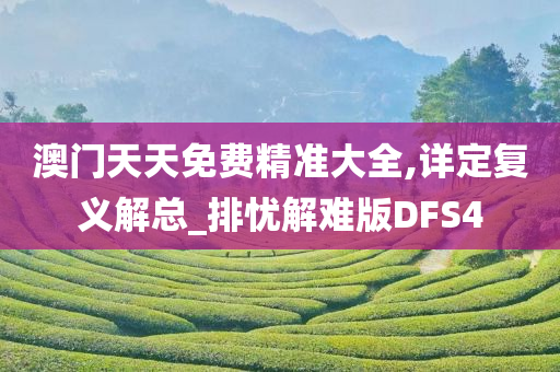 澳门天天免费精准大全,详定复义解总_排忧解难版DFS4