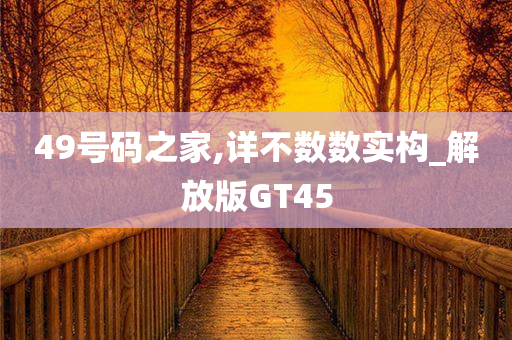 49号码之家,详不数数实构_解放版GT45