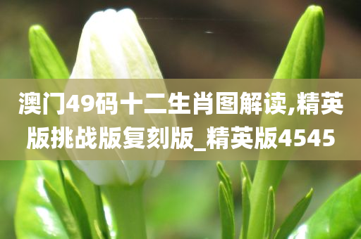 澳门49码十二生肖图解读,精英版挑战版复刻版_精英版4545