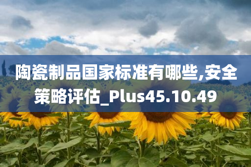 陶瓷制品国家标准有哪些,安全策略评估_Plus45.10.49