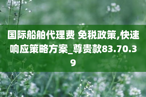 国际船舶代理费 免税政策,快速响应策略方案_尊贵款83.70.39