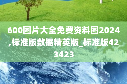 600图片大全免费资料图2024,标准版数据精英版_标准版423423