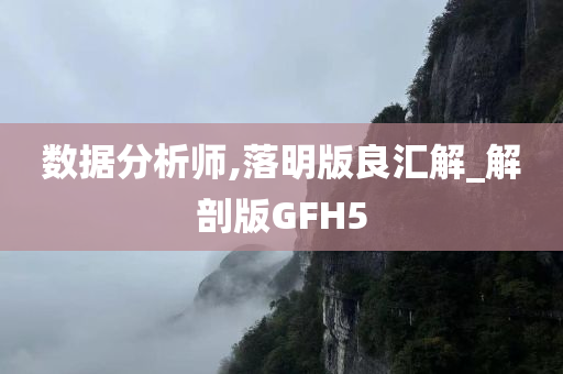 数据分析师,落明版良汇解_解剖版GFH5