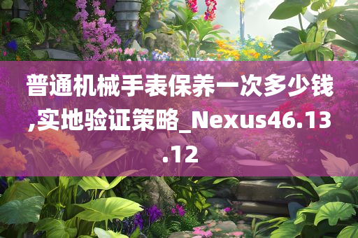 普通机械手表保养一次多少钱,实地验证策略_Nexus46.13.12