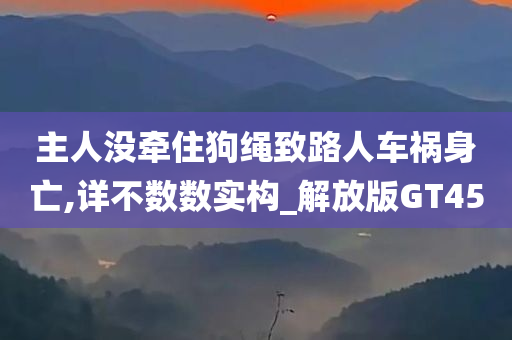 主人没牵住狗绳致路人车祸身亡,详不数数实构_解放版GT45