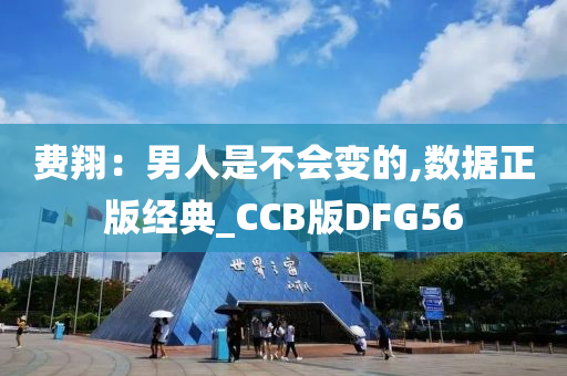 费翔：男人是不会变的,数据正版经典_CCB版DFG56