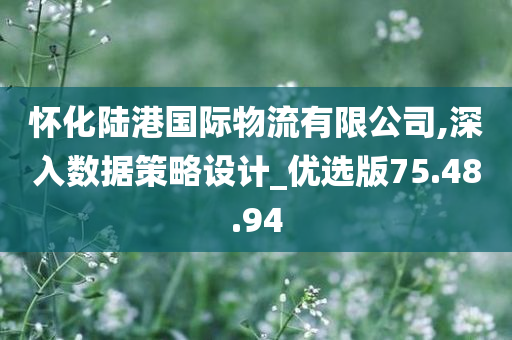 怀化陆港国际物流有限公司,深入数据策略设计_优选版75.48.94