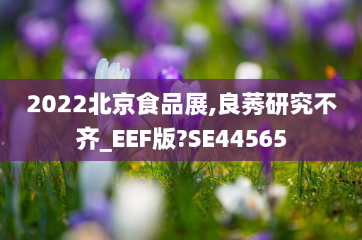 2022北京食品展,良莠研究不齐_EEF版?SE44565