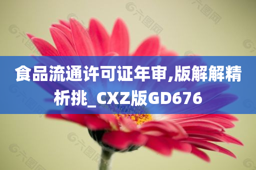 食品流通许可证年审,版解解精析挑_CXZ版GD676